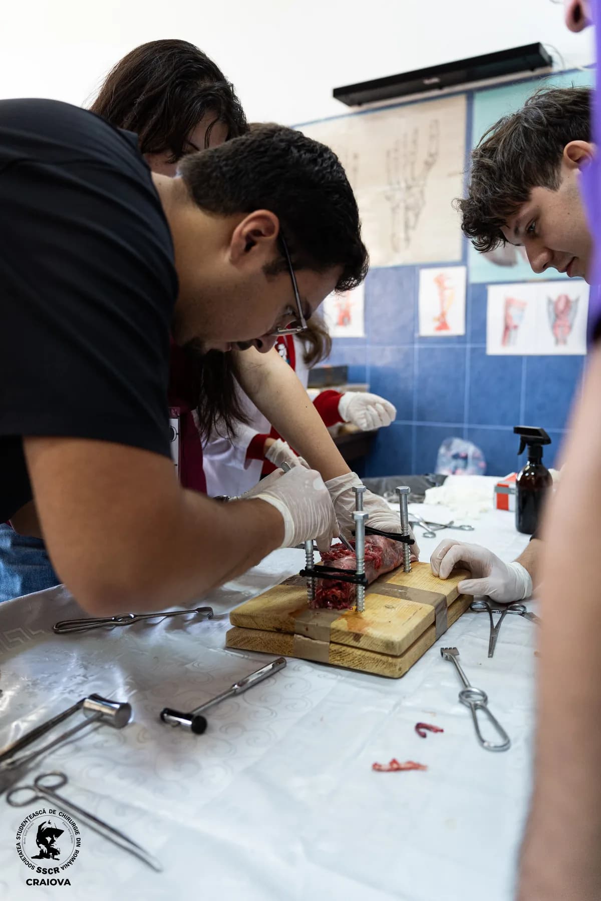 Students practicing surgical suturing on a specimen during a workshop
