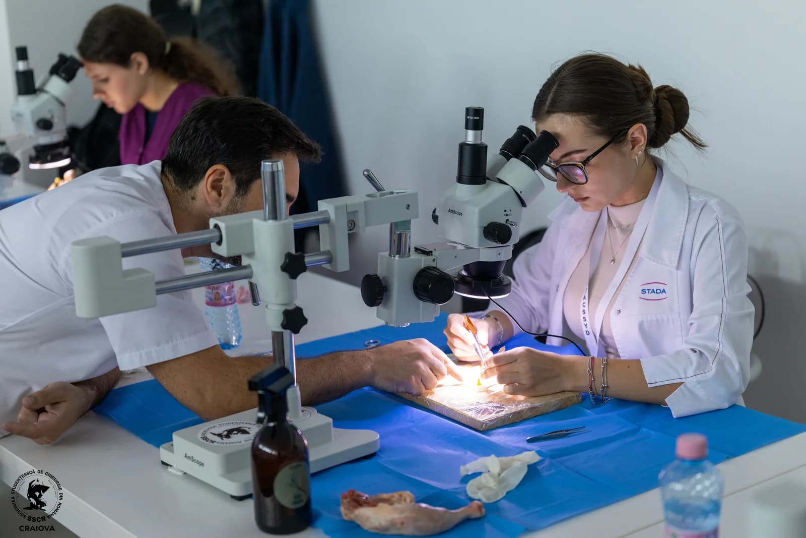 Microsurgery workshop, students practicing at the microscope